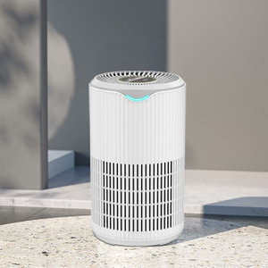 B-D09 HEPA Air Purifier for home with 5 air purification system