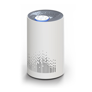 Auto Mode H13 HEPA Pm2.5 RoHS Desktop Air Purifier