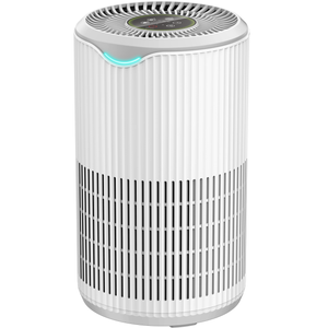 OEM Anti Virus H13 HEPA Home Air Purifier